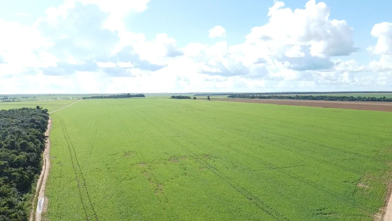 Arrendamento 720 hectares — Nova Ubiratã/MT